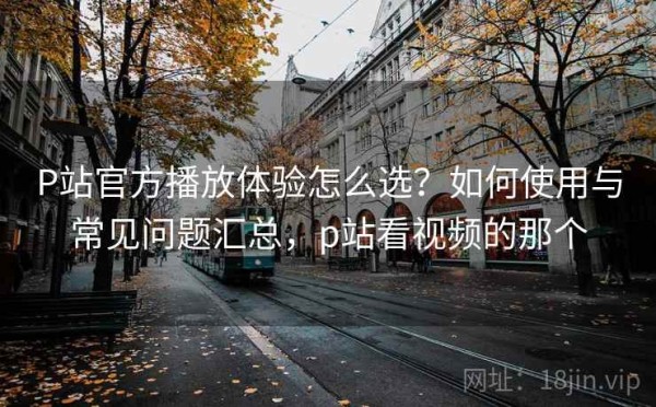 P站官方播放体验怎么选？如何使用与常见问题汇总，p站看视频的那个