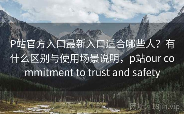 P站官方入口最新入口适合哪些人？有什么区别与使用场景说明，p站our commitment to trust and safety