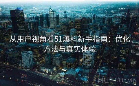 从用户视角看51爆料新手指南：优化方法与真实体验