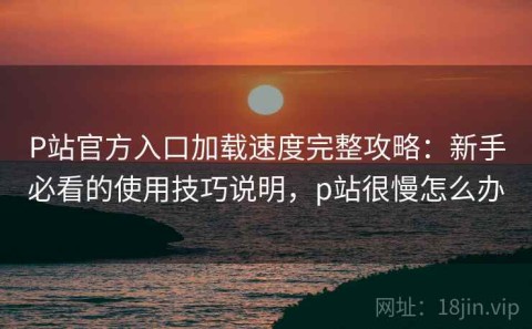 P站官方入口加载速度完整攻略：新手必看的使用技巧说明，p站很慢怎么办