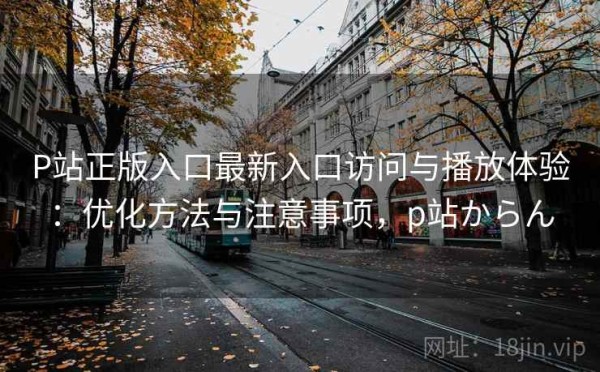 P站正版入口最新入口访问与播放体验：优化方法与注意事项，p站からん