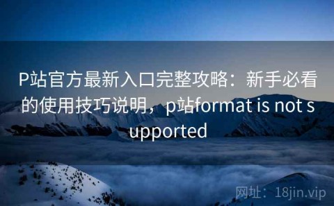 P站官方最新入口完整攻略：新手必看的使用技巧说明，p站format is not supported
