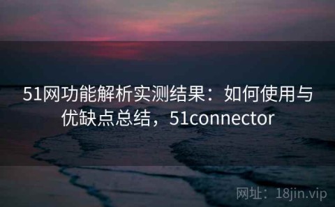 51网功能解析实测结果：如何使用与优缺点总结，51connector