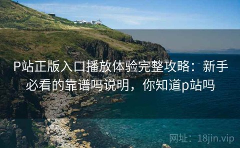 P站正版入口播放体验完整攻略：新手必看的靠谱吗说明，你知道p站吗
