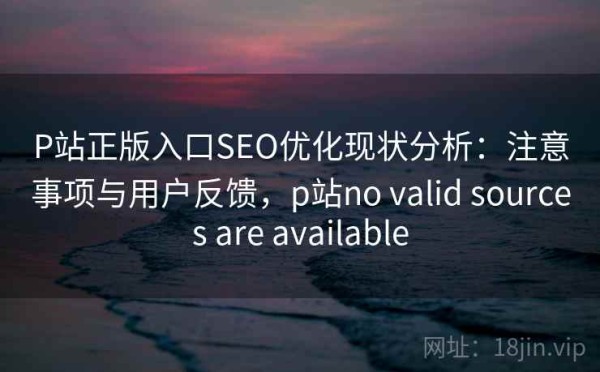 P站正版入口SEO优化现状分析：注意事项与用户反馈，p站no valid sources are available