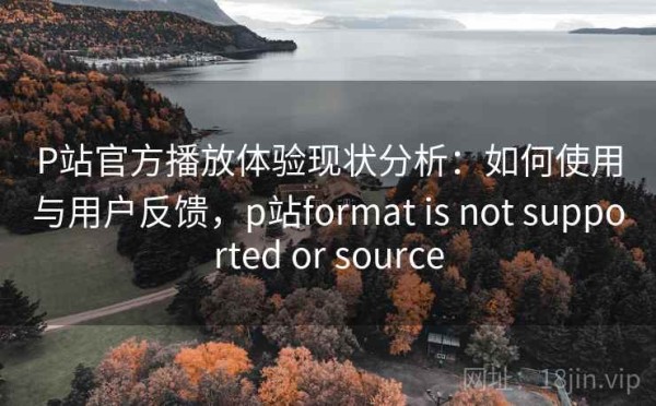 P站官方播放体验现状分析：如何使用与用户反馈，p站format is not supported or source
