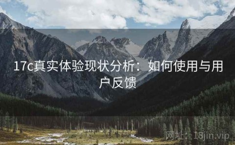 17c真实体验现状分析：如何使用与用户反馈