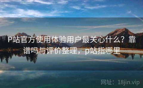 P站官方使用体验用户最关心什么？靠谱吗与评价整理，p站指哪里