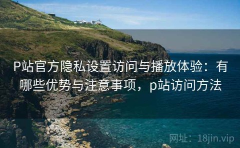 P站官方隐私设置访问与播放体验：有哪些优势与注意事项，p站访问方法