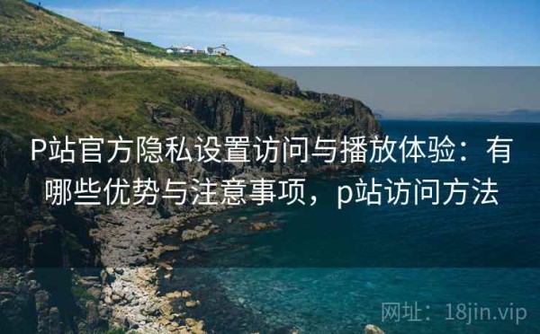 P站官方隐私设置访问与播放体验：有哪些优势与注意事项，p站访问方法