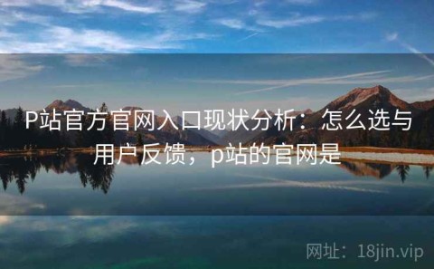 P站官方官网入口现状分析：怎么选与用户反馈，p站的官网是