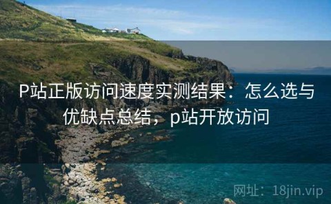 P站正版访问速度实测结果：怎么选与优缺点总结，p站开放访问