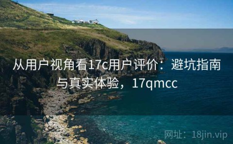从用户视角看17c用户评价：避坑指南与真实体验，17qmcc
