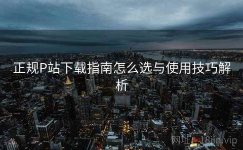 正规P站下载指南怎么选与使用技巧解析