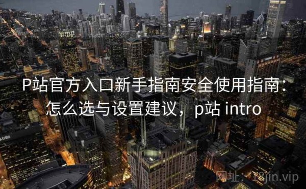 P站官方入口新手指南安全使用指南：怎么选与设置建议，p站 intro