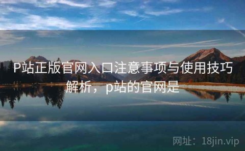 P站正版官网入口注意事项与使用技巧解析，p站的官网是