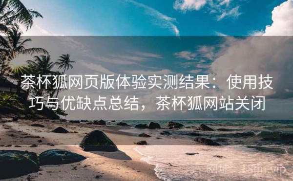 茶杯狐网页版体验实测结果：使用技巧与优缺点总结，茶杯狐网站关闭
