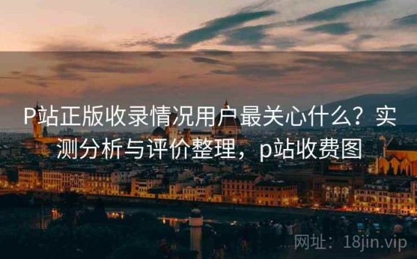 P站正版收录情况用户最关心什么？实测分析与评价整理，p站收费图