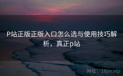 P站正版正版入口怎么选与使用技巧解析，真正p站