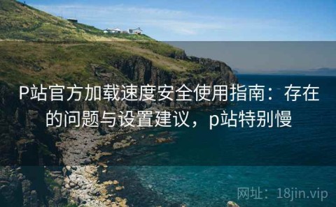 P站官方加载速度安全使用指南：存在的问题与设置建议，p站特别慢