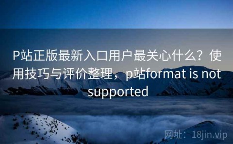 P站正版最新入口用户最关心什么？使用技巧与评价整理，p站format is not supported