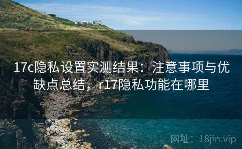 17c隐私设置实测结果：注意事项与优缺点总结，r17隐私功能在哪里