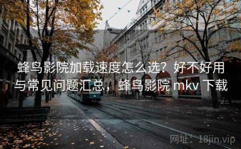 蜂鸟影院加载速度怎么选？好不好用与常见问题汇总，蜂鸟影院 mkv 下载