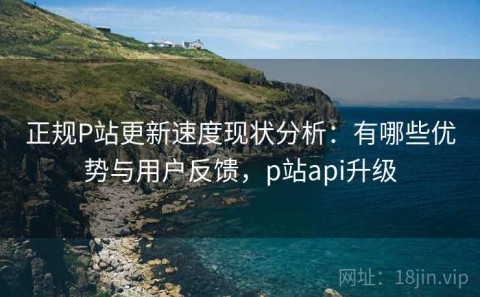 正规P站更新速度现状分析：有哪些优势与用户反馈，p站api升级