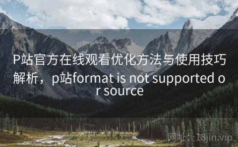 P站官方在线观看优化方法与使用技巧解析，p站format is not supported or source