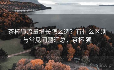 茶杯狐流量增长怎么选？有什么区别与常见问题汇总，茶杯 狐