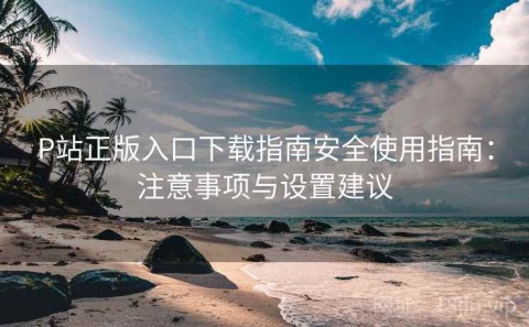 P站正版入口下载指南安全使用指南：注意事项与设置建议