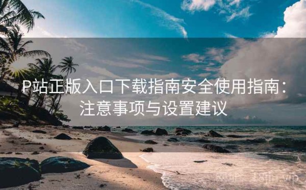 P站正版入口下载指南安全使用指南：注意事项与设置建议