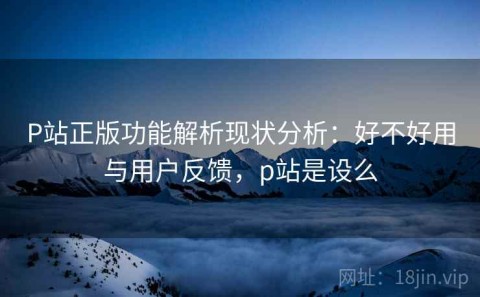 P站正版功能解析现状分析：好不好用与用户反馈，p站是设么