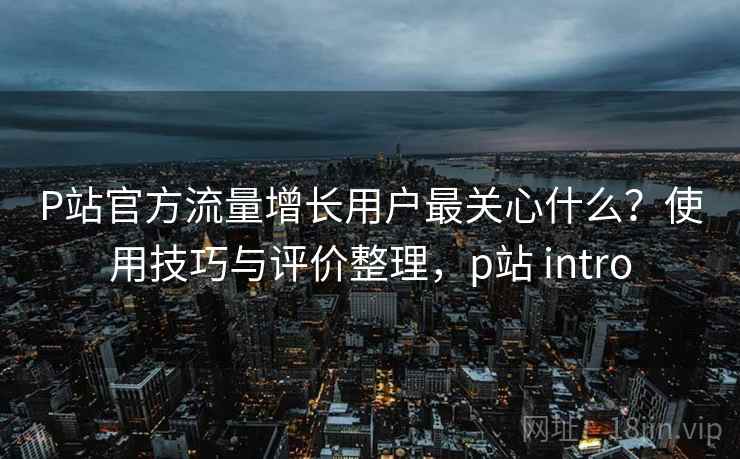 P站官方流量增长用户最关心什么？使用技巧与评价整理，p站 intro