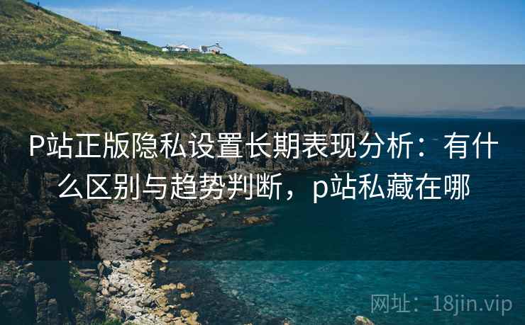 P站正版隐私设置长期表现分析：有什么区别与趋势判断，p站私藏在哪
