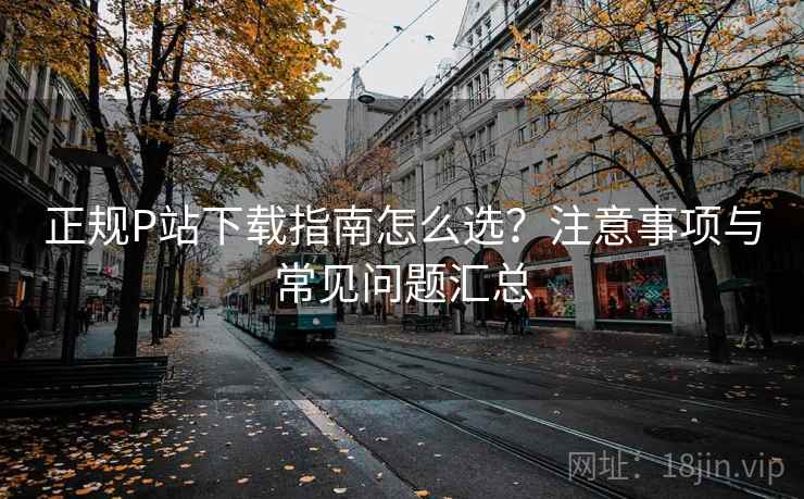 正规P站下载指南怎么选？注意事项与常见问题汇总