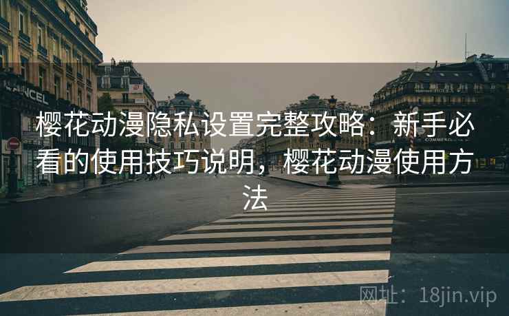 樱花动漫隐私设置完整攻略：新手必看的使用技巧说明，樱花动漫使用方法