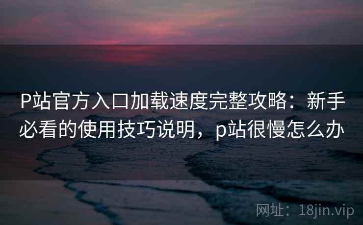 P站官方入口加载速度完整攻略：新手必看的使用技巧说明，p站很慢怎么办