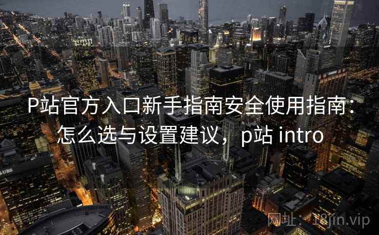 P站官方入口新手指南安全使用指南：怎么选与设置建议，p站 intro