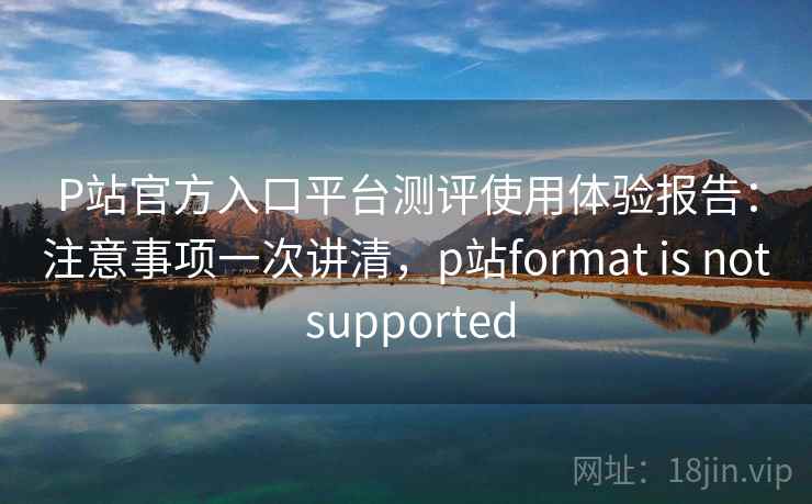 P站官方入口平台测评使用体验报告：注意事项一次讲清，p站format is not supported