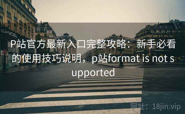 P站官方最新入口完整攻略：新手必看的使用技巧说明，p站format is not supported