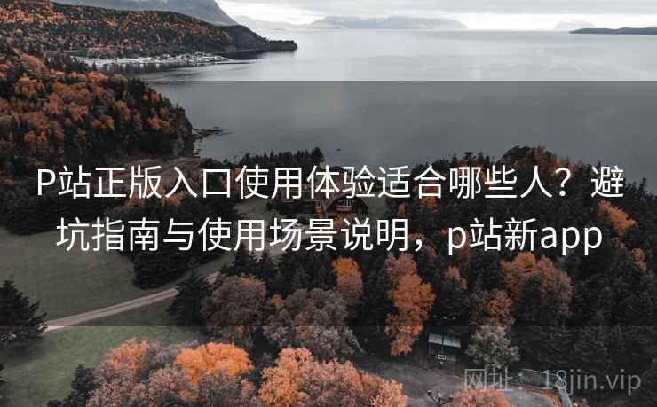 P站正版入口使用体验适合哪些人？避坑指南与使用场景说明，p站新app