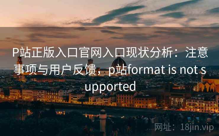 P站正版入口官网入口现状分析：注意事项与用户反馈，p站format is not supported