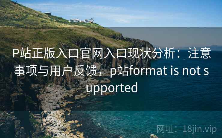 P站正版入口官网入口现状分析：注意事项与用户反馈，p站format is not supported
