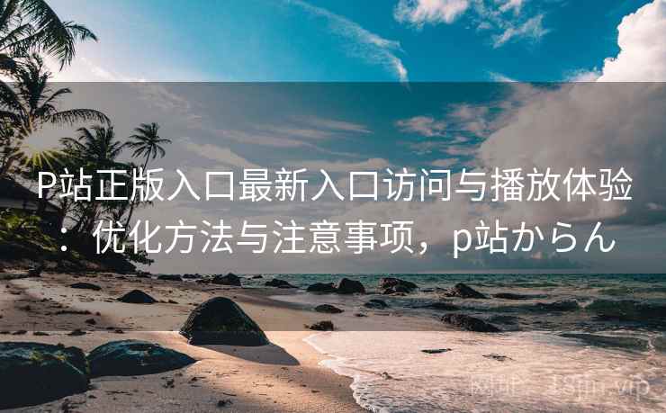 P站正版入口最新入口访问与播放体验：优化方法与注意事项，p站からん