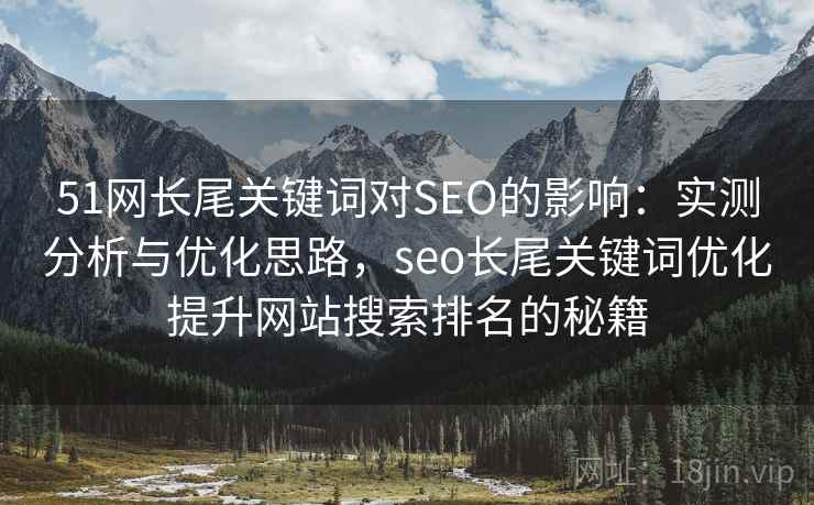 51网长尾关键词对SEO的影响：实测分析与优化思路，seo长尾关键词优化提升网站搜索排名的秘籍