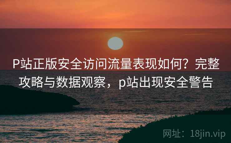 P站正版安全访问流量表现如何?完整攻略与数据观察,p站出现安全警告 P站正版安全访问流量表现如何?完整攻略与数据观察,p站出现安全警告