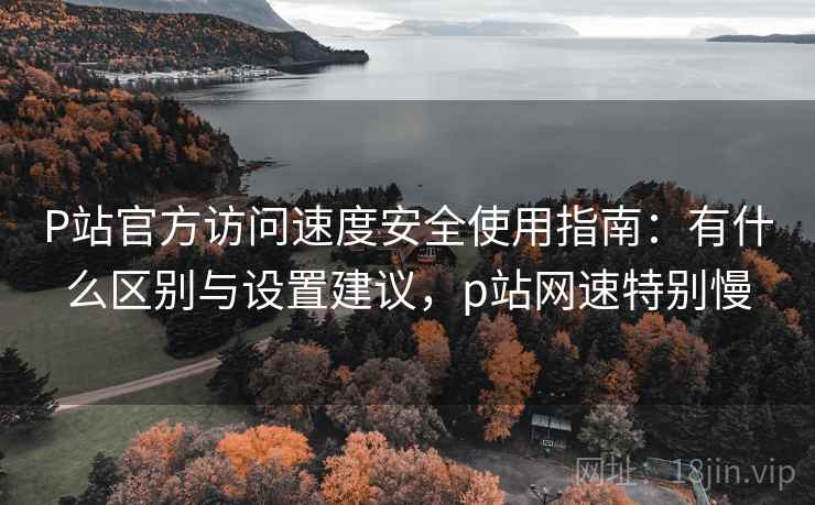 P站官方访问速度安全使用指南:有什么区别与设置建议,p站网速特别慢 P站官方访问速度安全使用指南:有什么区别与设置建议,p站网速特别慢