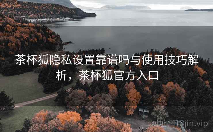 茶杯狐隐私设置靠谱吗与使用技巧解析，茶杯狐官方入口