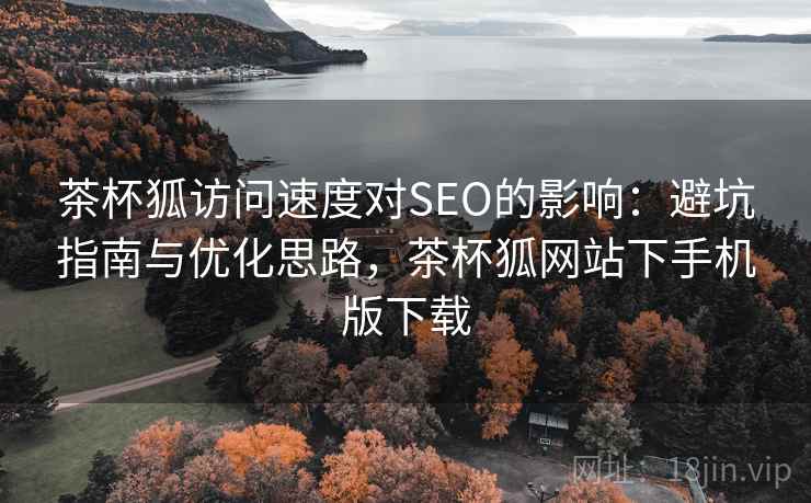 茶杯狐访问速度对SEO的影响：避坑指南与优化思路，茶杯狐网站下手机版下载